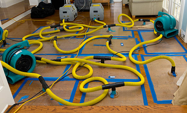 Professional Sewage Cleanup technician working in Sassamansville, PA